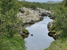 A serene spot in a woodlands hike. 
