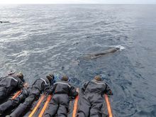 In dry suits watching the seals and dolphins