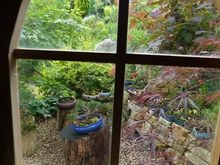 Looking out to bonsai garden