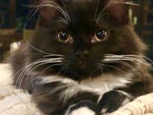 The camera loves Alice