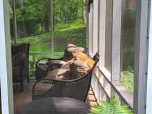 My grandcat (zoom in). The King of The Jungle!! I know he’s look more formidable if he was awake.  You’re welcome Zig. 