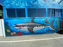 A joint smoking shark - seems appropriate somehow