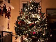 A tree from a Christmas past. Still need to get this year’s tree.