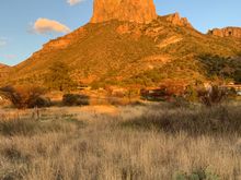 Love the Golden Hour 