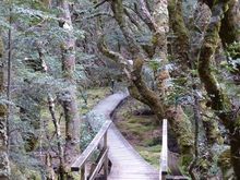 More walks