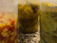 Some of my pickles and corn.  I didn’t bother to process them as they will keep in the fridge for a few months and will never last that long!