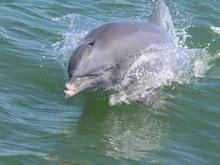 Mom and baby - so cute!