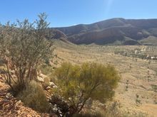 Looking down at the Ormiston Creek that winds its way into the gorge on the left
