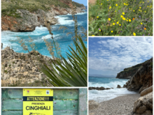 Zingarro Riserva and Torre Salsa