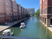 Swan boats in the canal