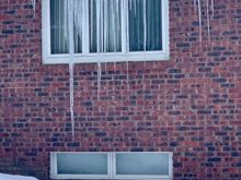 Longest icicle seen along our walk