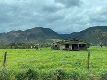 On the drive back to Kaiteriteri.