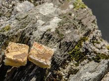 Les deux fromage sur le pont.