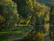 What a setting for a picnic.