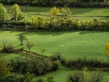 We walked part of the Via Podiensis pilgrimage.