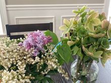 Flowers from MIL's garden 