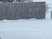 Snow. My neighbor’s flag makes a nice contrast. That’s their one and only flag! 