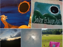 Local artists had options at the farmers market.  Paintings, painted bags, painted gourds, all sorts of things.  The chicken painting makes me smile. It makes me think of Mark Twain's description in the book I read as a child.  

