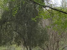 This has all happened in the last 10 days