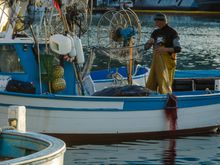 Some of this pescatori's catch out on the sparkling sea might end up as a 'paranza' fried fish dish. Or he might sometimes catch 'ricci di mare (surprisingly sweet sea urchin). He himself might prefer 'ndunderi' (cheese walnut dumplings) or perhaps 'sarchiapone' (squash filled with meat and cheese). His wife might like 'pomodorelli della piennollo'. Dessert: 'mandorla candita'=candied almond gelato.