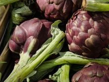 Artichoke: whose yellow flowers are edible and feature in winter dishes in Italia.