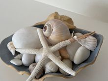 A friend gave me the shell dish. 