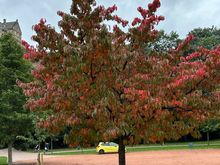 Hello fall 