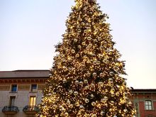 
Only one more photo to go! Wishing you all safe travels and a joyous holiday, 