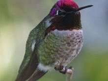 I meant to share this picture that my son took.  I love it.