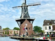 And a windmill 