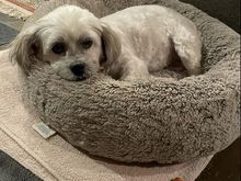 No thanks to the carrot…