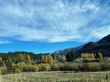 On the drive back to Nelson via Lewis Pass