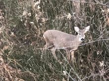 This little girl was too nosey for her own good and fun to watch.