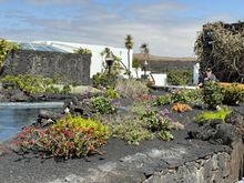Garden of the home of Cesar Manrique, Lanzarote, Islas Canaria's, Spain.