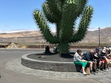 Sculpture outside the garden, near where the bus stops...we had a driver but bus is pretty easy on Lanzarote, I think.