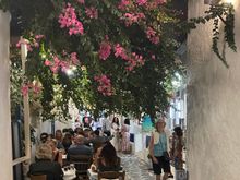 Plaka Taverna
