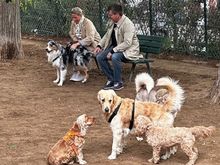 I lo=ed the dog park