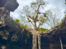 Looking at the sky from a cenote.