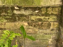 An impressive tribute in the cathedral garden.  Hodges’s predecessor. Can you see how fun I am to travel with?? I find ALL the cats. You are so welcome, Ziggy. 