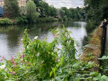 After the boat trip, we walked all the way around the town on a riverside walk.