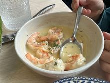 Shrimp with dill in a lemon mustard sauce