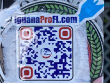 Sticker on pole at Alabama Jack’s at lunch today - from what we saw, I’d guess these guys are busy! I’d like iguanas in my yard, though!