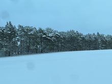 The fresh snow does make the world look clean.