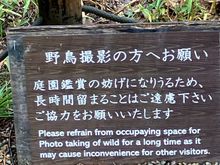 Very polite!