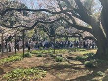 Photo opp at Rikugien garden