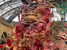 I always take photos of guys with facial hair and a pot belly. 