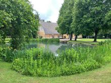 Ya gotta have a pond!