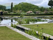 A pond just off the Terraces