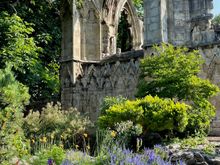 Ruins from the Abbey