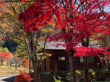Great color!